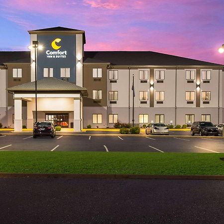 Comfort Inn & Suites Cave City Zewnętrze zdjęcie