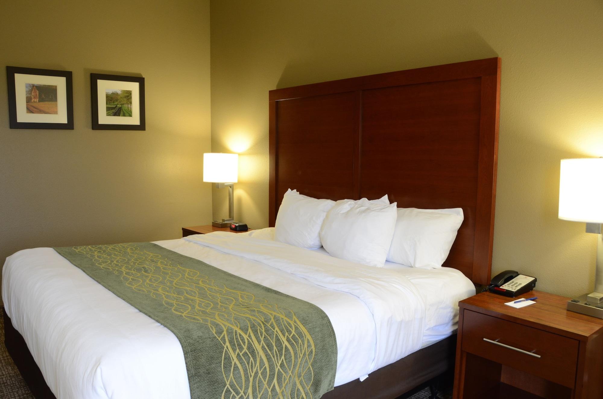Comfort Inn & Suites Cave City Zewnętrze zdjęcie